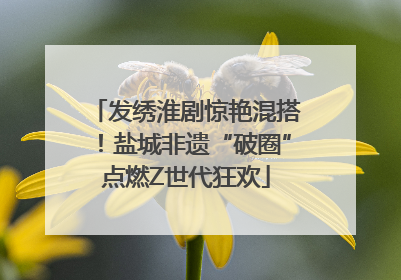 发绣淮剧惊艳混搭！盐城非遗“破圈”点燃Z世代狂欢