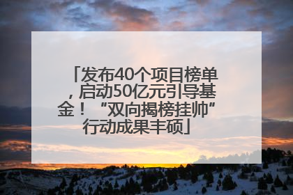 发布40个项目榜单，启动50亿元引导基金！“双向揭榜挂帅”行动成果丰硕