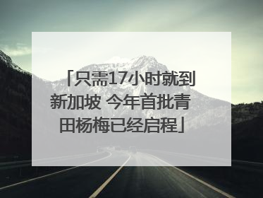只需17小时就到新加坡 今年首批青田杨梅已经启程