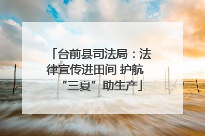 台前县司法局：法律宣传进田间 护航“三夏”助生产
