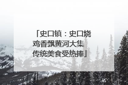 史口镇：史口烧鸡香飘黄河大集 传统美食受热捧