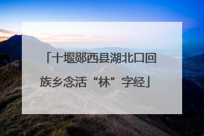 十堰郧西县湖北口回族乡念活“林”字经