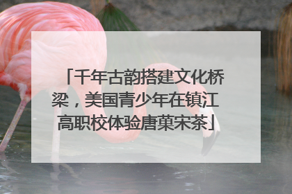 千年古韵搭建文化桥梁，美国青少年在镇江高职校体验唐菓宋茶
