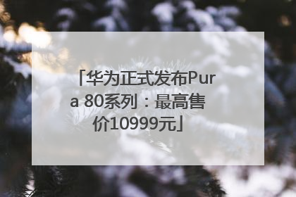 华为正式发布Pura 80系列：最高售价10999元