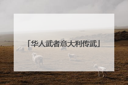 华人武者意大利传武