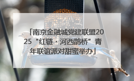 南京金融城党建联盟2025“红链・河西鹊桥”青年联谊派对甜蜜举办