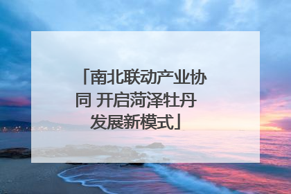 南北联动产业协同 开启菏泽牡丹发展新模式