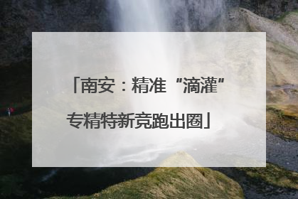 南安：精准“滴灌”专精特新竞跑出圈