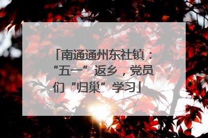 南通通州东社镇：“五一”返乡，党员们“归巢”学习