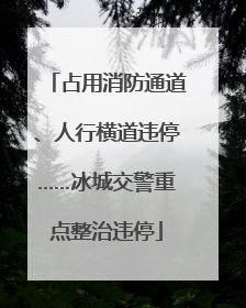 占用消防通道、人行横道违停……冰城交警重点整治违停