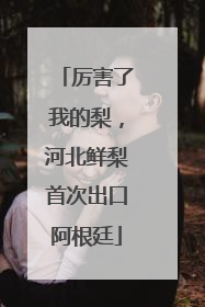 厉害了我的梨，河北鲜梨首次出口阿根廷