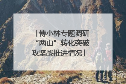 傅小林专题调研“两山”转化突破攻坚战推进情况