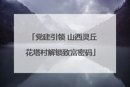 党建引领 山西灵丘花塔村解锁致富密码