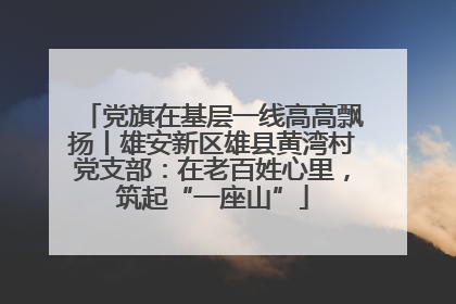 党旗在基层一线高高飘扬丨雄安新区雄县黄湾村党支部：在老百姓心里，筑起“一座山”