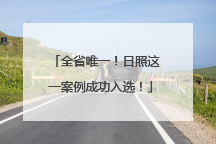 全省唯一！日照这一案例成功入选！