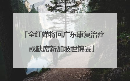 全红婵将回广东康复治疗 或缺席新加坡世锦赛