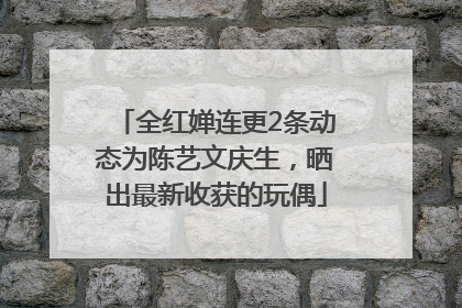 全红婵连更2条动态为陈艺文庆生，晒出最新收获的玩偶
