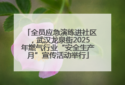 全员应急演练进社区，武汉龙泉街2025年燃气行业“安全生产月”宣传活动举行