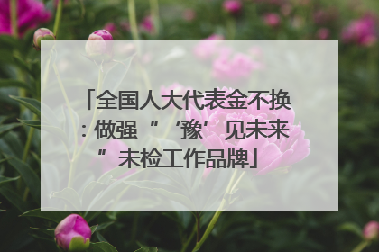 全国人大代表金不换：做强“‘豫’见未来”未检工作品牌