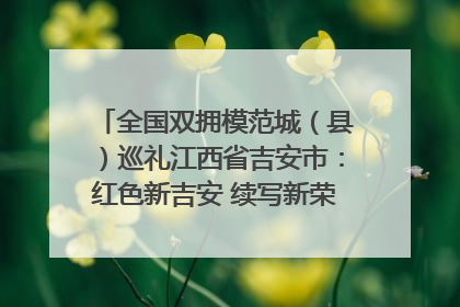 全国双拥模范城（县）巡礼江西省吉安市：红色新吉安 续写新荣光 奋力谱写新时代双拥工作新篇章