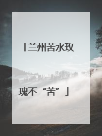 兰州苦水玫瑰不“苦”
