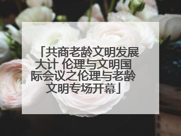 共商老龄文明发展大计 伦理与文明国际会议之伦理与老龄文明专场开幕