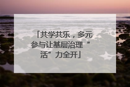 共学共乐，多元参与让基层治理“活”力全开