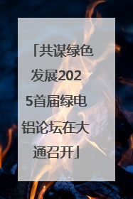 共谋绿色发展2025首届绿电铝论坛在大通召开