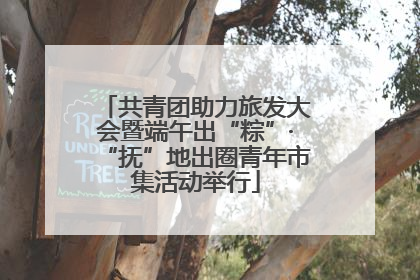 共青团助力旅发大会暨端午出“粽”·“抚”地出圈青年市集活动举行