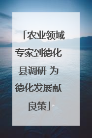 农业领域专家到德化县调研 为德化发展献良策