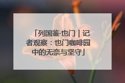 列国鉴·也门｜记者观察：也门咖啡园中的无奈与坚守