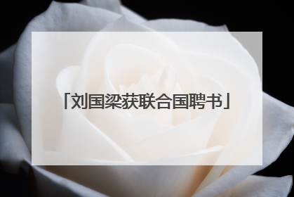 刘国梁获联合国聘书