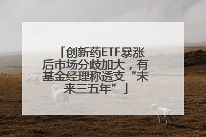创新药ETF暴涨后市场分歧加大，有基金经理称透支“未来三五年”