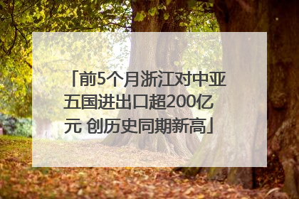 前5个月浙江对中亚五国进出口超200亿元 创历史同期新高