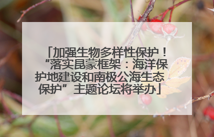 加强生物多样性保护！“落实昆蒙框架：海洋保护地建设和南极公海生态保护”主题论坛将举办