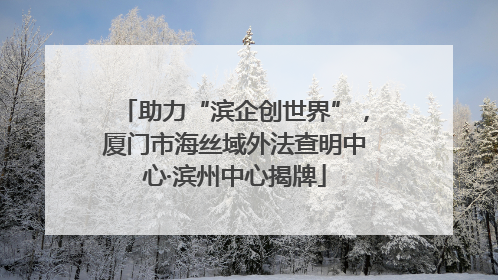 助力“滨企创世界”，厦门市海丝域外法查明中心·滨州中心揭牌