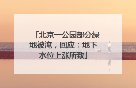 北京一公园部分绿地被淹，回应：地下水位上涨所致