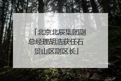 北京北辰集团副总经理胡浩获任石景山区副区长