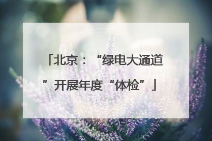 北京：“绿电大通道”开展年度“体检”