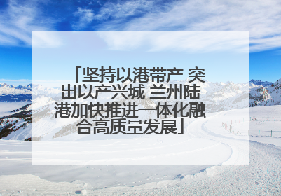 坚持以港带产 突出以产兴城 兰州陆港加快推进一体化融合高质量发展