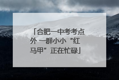 合肥一中考考点外 一群小小“红马甲”正在忙碌