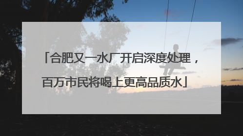合肥又一水厂开启深度处理，百万市民将喝上更高品质水