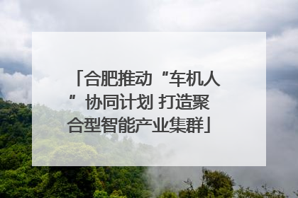 合肥推动“车机人”协同计划 打造聚合型智能产业集群