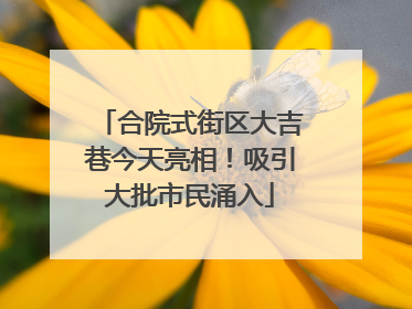 合院式街区大吉巷今天亮相！吸引大批市民涌入