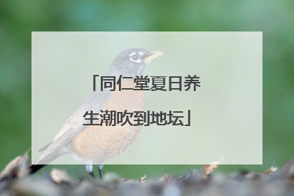 同仁堂夏日养生潮吹到地坛
