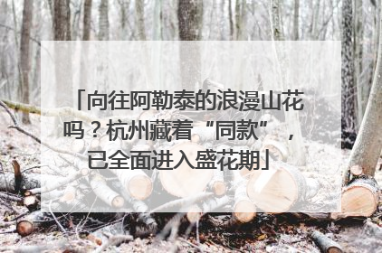 向往阿勒泰的浪漫山花吗？杭州藏着“同款”，已全面进入盛花期
