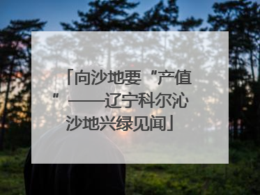 向沙地要“产值”——辽宁科尔沁沙地兴绿见闻