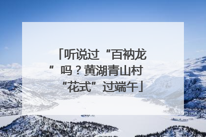 听说过“百衲龙”吗？黄湖青山村“花式”过端午