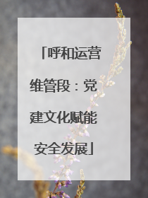 呼和运营维管段：党建文化赋能安全发展