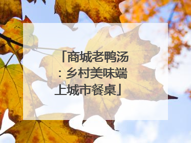 商城老鸭汤：乡村美味端上城市餐桌